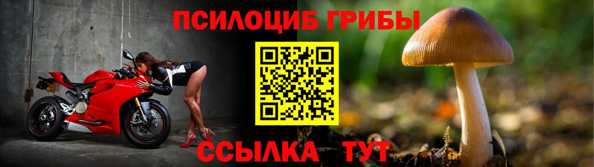 Галлюциногенные грибы мицелий  Вход с VPN  Галлюциногенные грибы мицелий  Нижнеудинск 